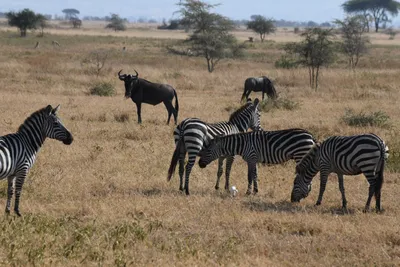 DSC_3405 (Large).JPG